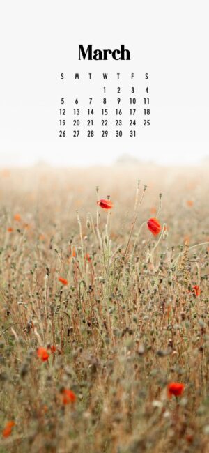Floral March Wallpaper iPhone
