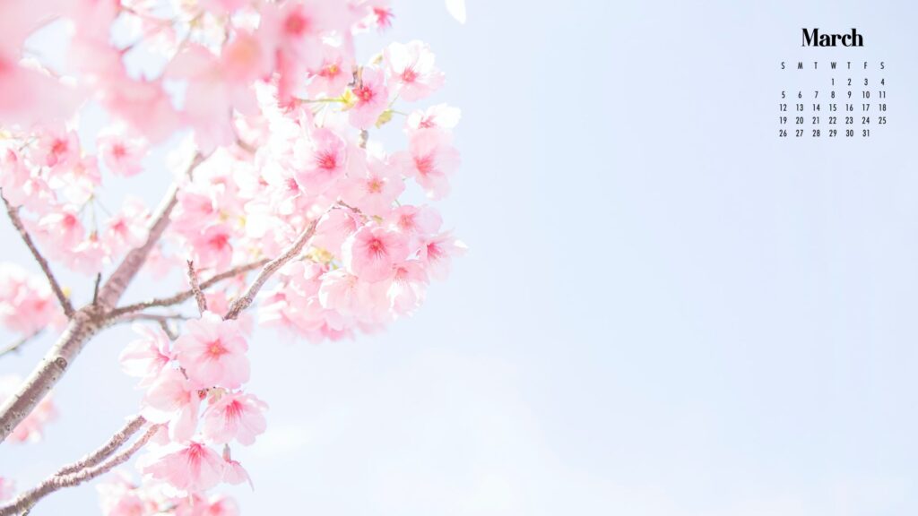 Cute March 2023 Calendar Floral Wallpaper HD