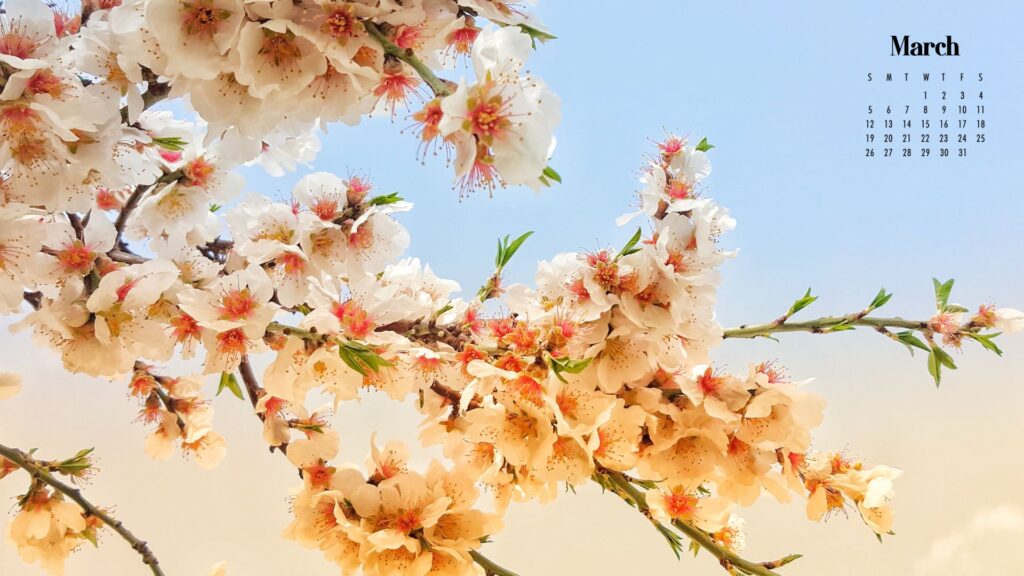 Spring bloom april blossom flowers green march nature planet earth  springtime HD phone wallpaper  Peakpx