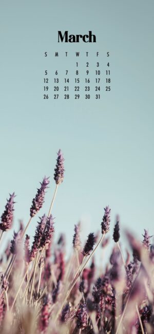 March Background Wallpaper Botanical