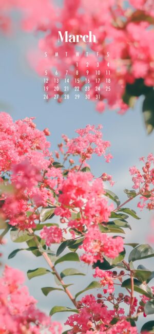 March Flowers Wallpaper
