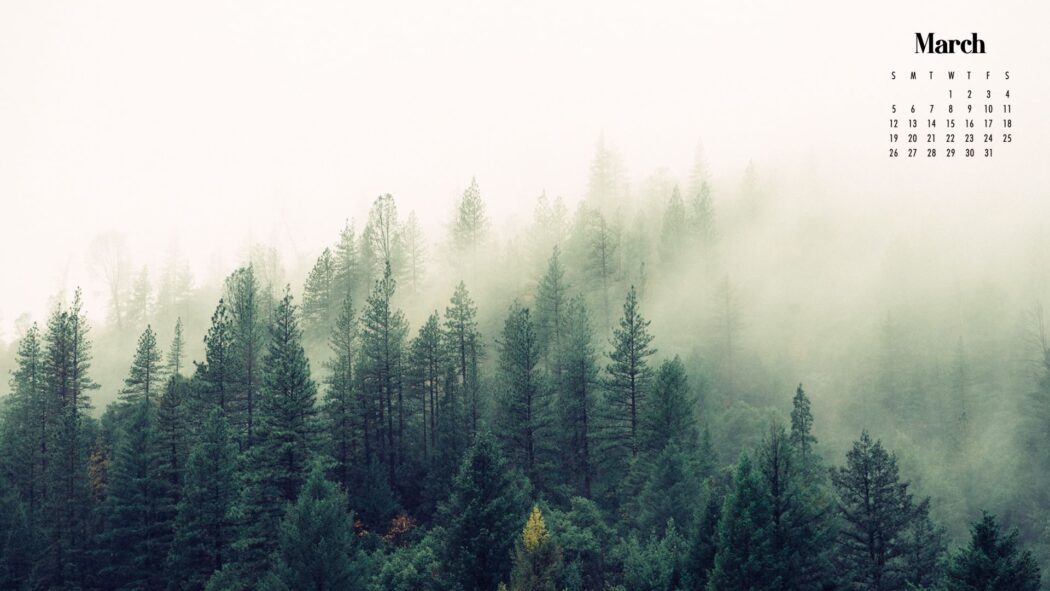 March Wallpaper | 90+ Best Desktop & Phone March Backgrounds