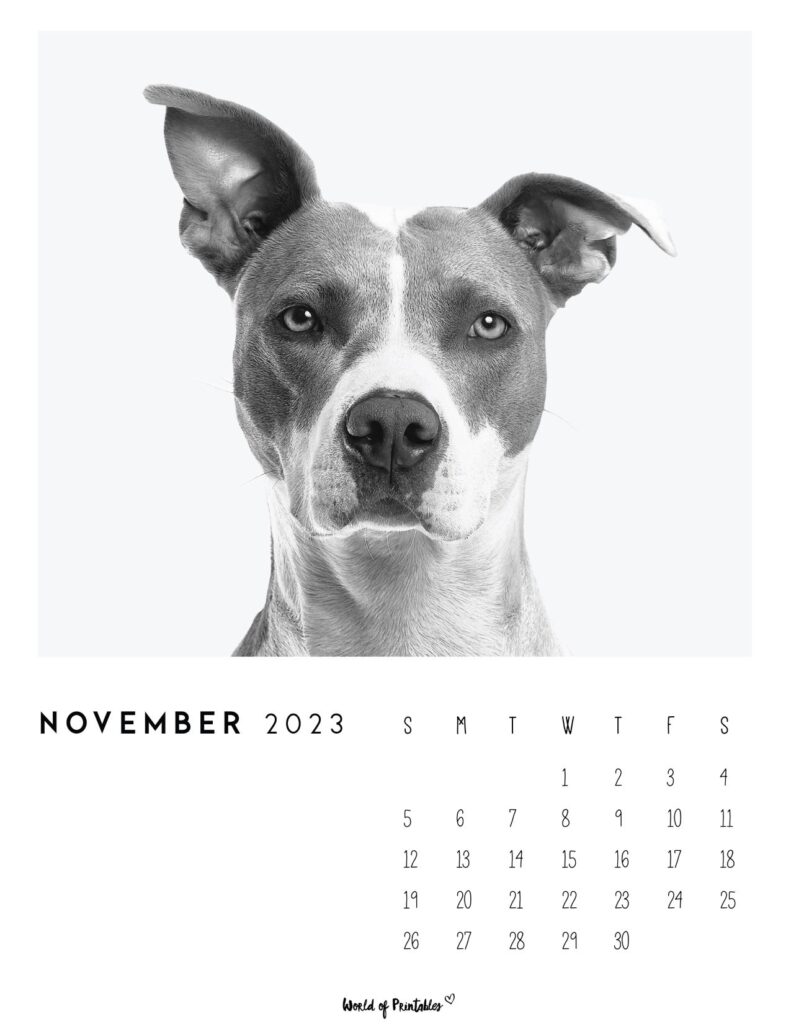 photo calendar 2023 - November