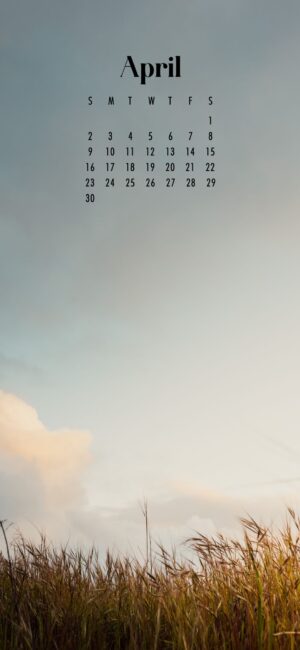 phone background of long grass and sky