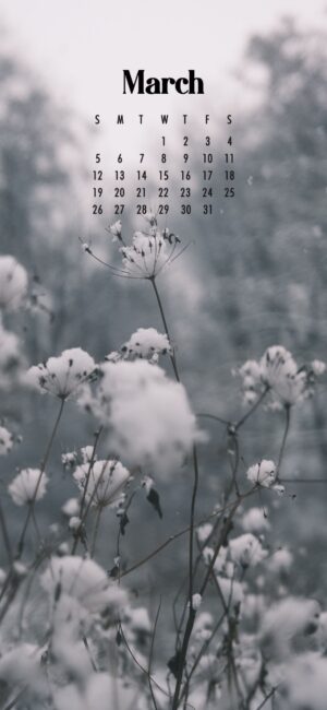 Simple March Wallpaper 2023