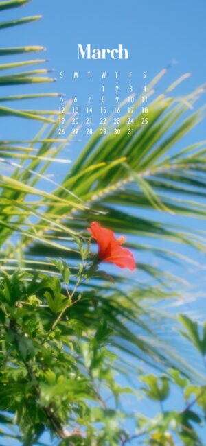 Tropical March Flowers Wallpaper