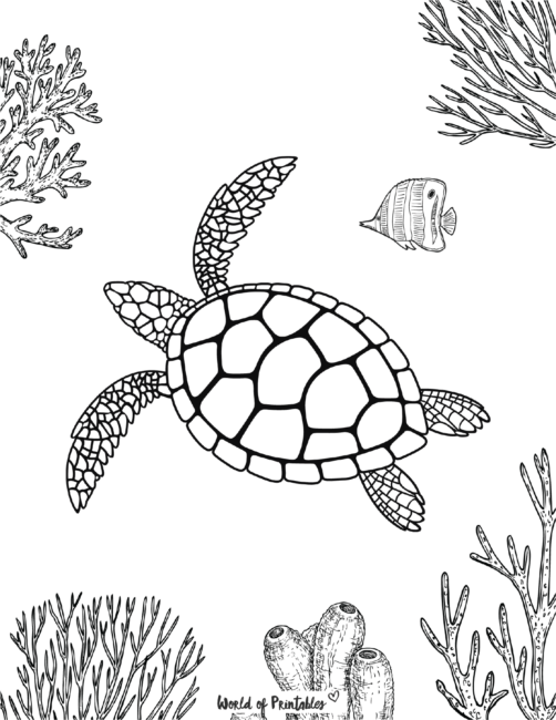 Turtle Coloring Pages with Fish