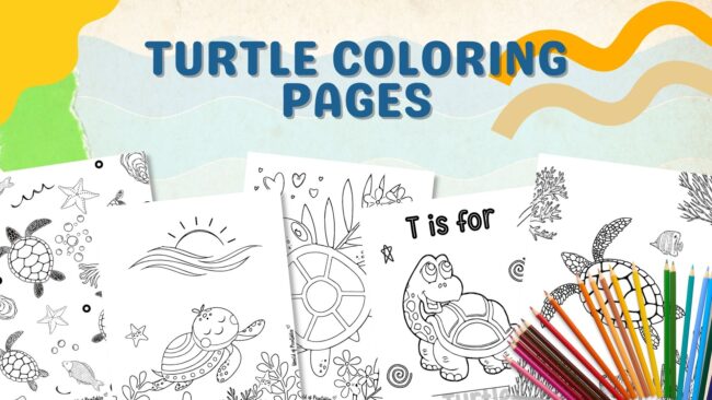 Turtle Coloring Pages
