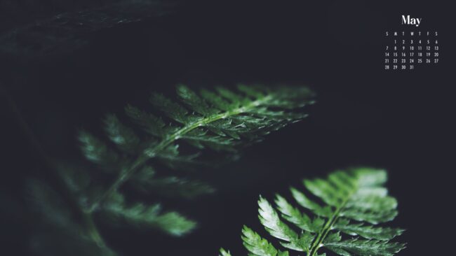 Botanical May Desktop Wallpaper