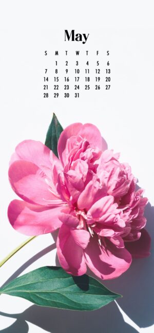 Cute May Wallpaper 2023