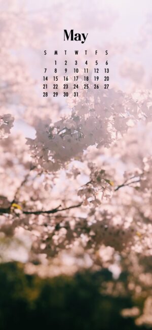 Cute May Wallpaper iPhone