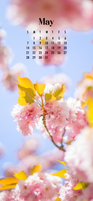 Floral May Wallpaper iPhone
