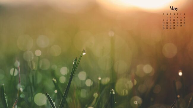 May 2023 Calendar Wallpaper