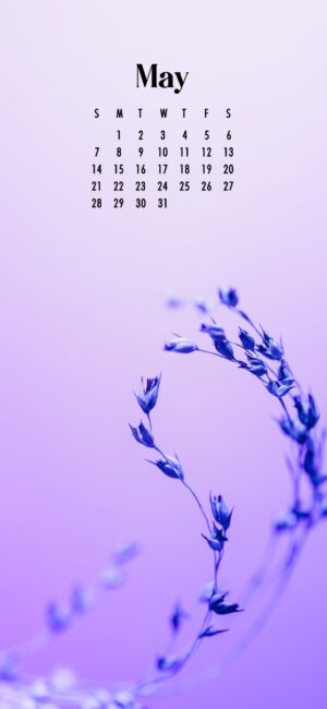 Purple May Calendar Wallpaper