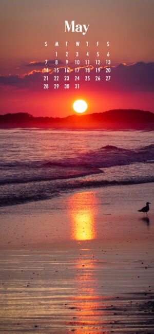 Sunset May Wallpaper 2023