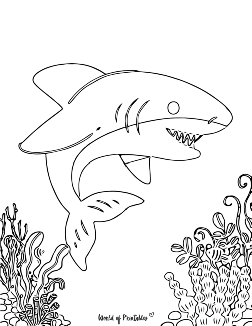 a shark coloring page