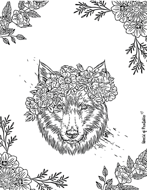 Wolf Coloring Pages for Adults
