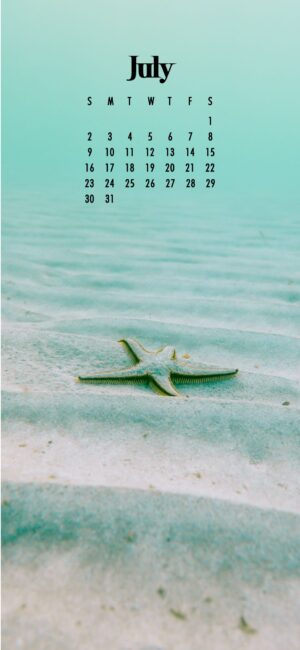 Cute July Calendar Wallpaper