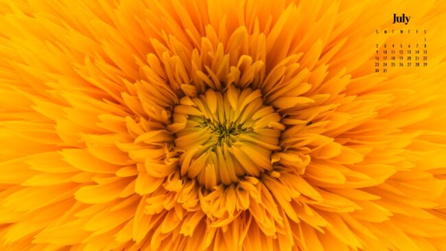 Flower July Wallpaper 2023