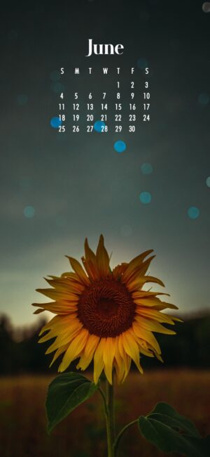 a sun flower with a dark sky