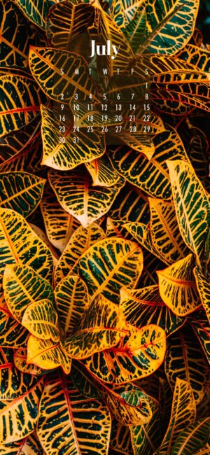 July Flowers Wallpaper