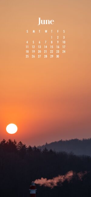 June Background sun setting over the forest