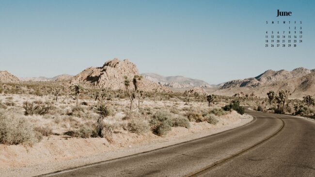 driving through the desert