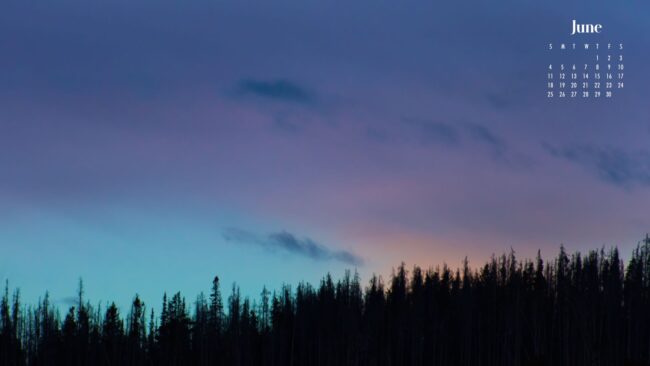 purple and blue sky over silhouette forest