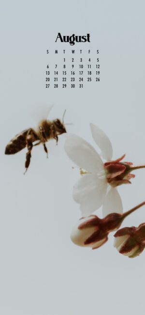 August Wallpaper 2023