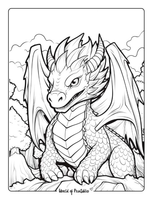 Dragon Coloring Page 14