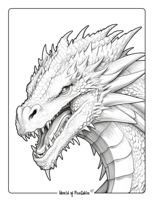 Dragon Coloring Page 69