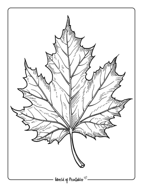 Fall Coloring Page 14