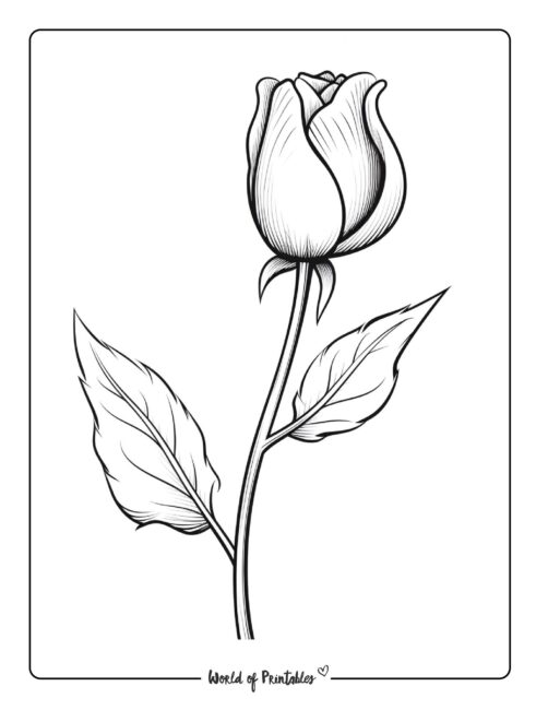 Flower Coloring Page 15