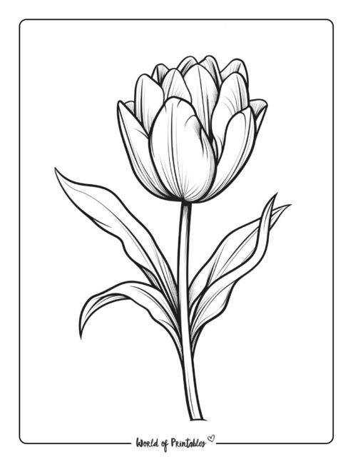 Flower Coloring Page 16