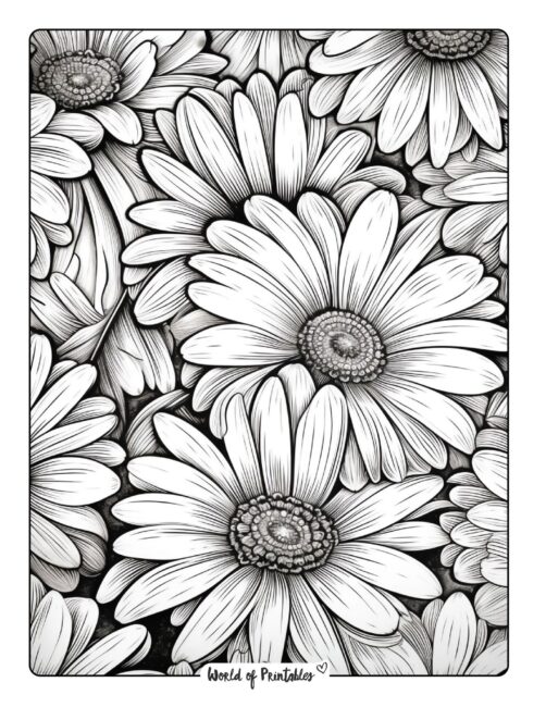 Flower Coloring Page 19