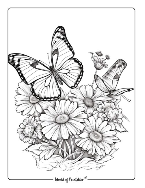 Flower Coloring Page 30