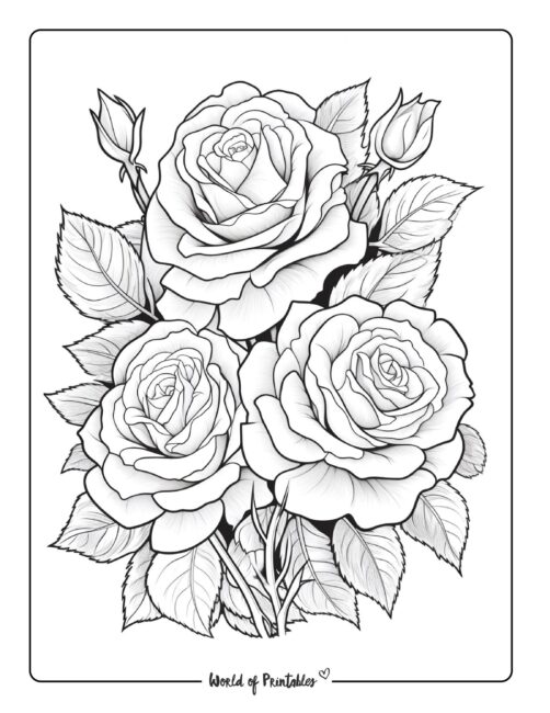 Flower Coloring Sheet 45