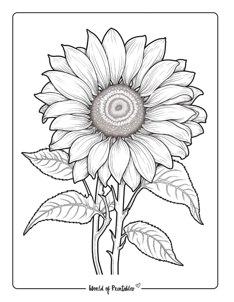 230 Best Flower Coloring Pages For Kids & Adults