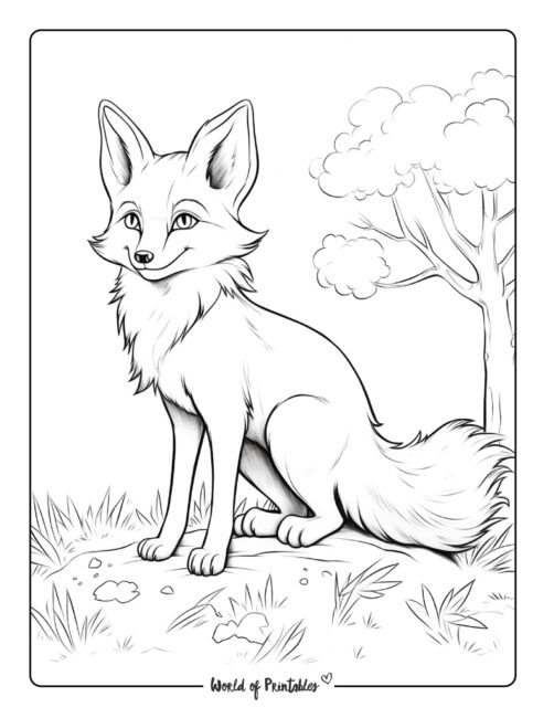 Fox Coloring Page 15
