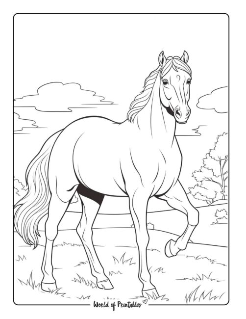 Horse Coloring Page 15