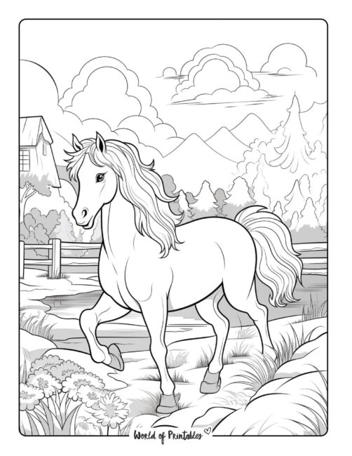 Horse Coloring Page 35
