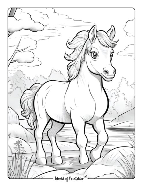 Horse Coloring Page 36