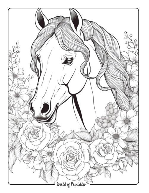 Horse Coloring Page 46