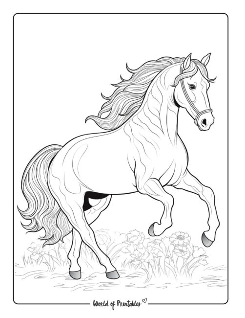 Horse Coloring Page 49