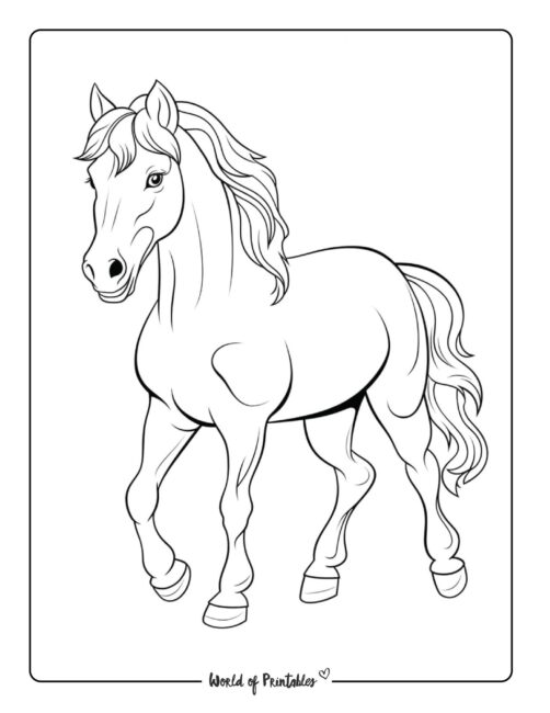 Horse Coloring Page 50
