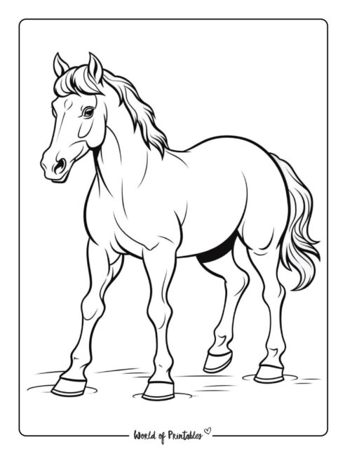 Horse Coloring Page 51