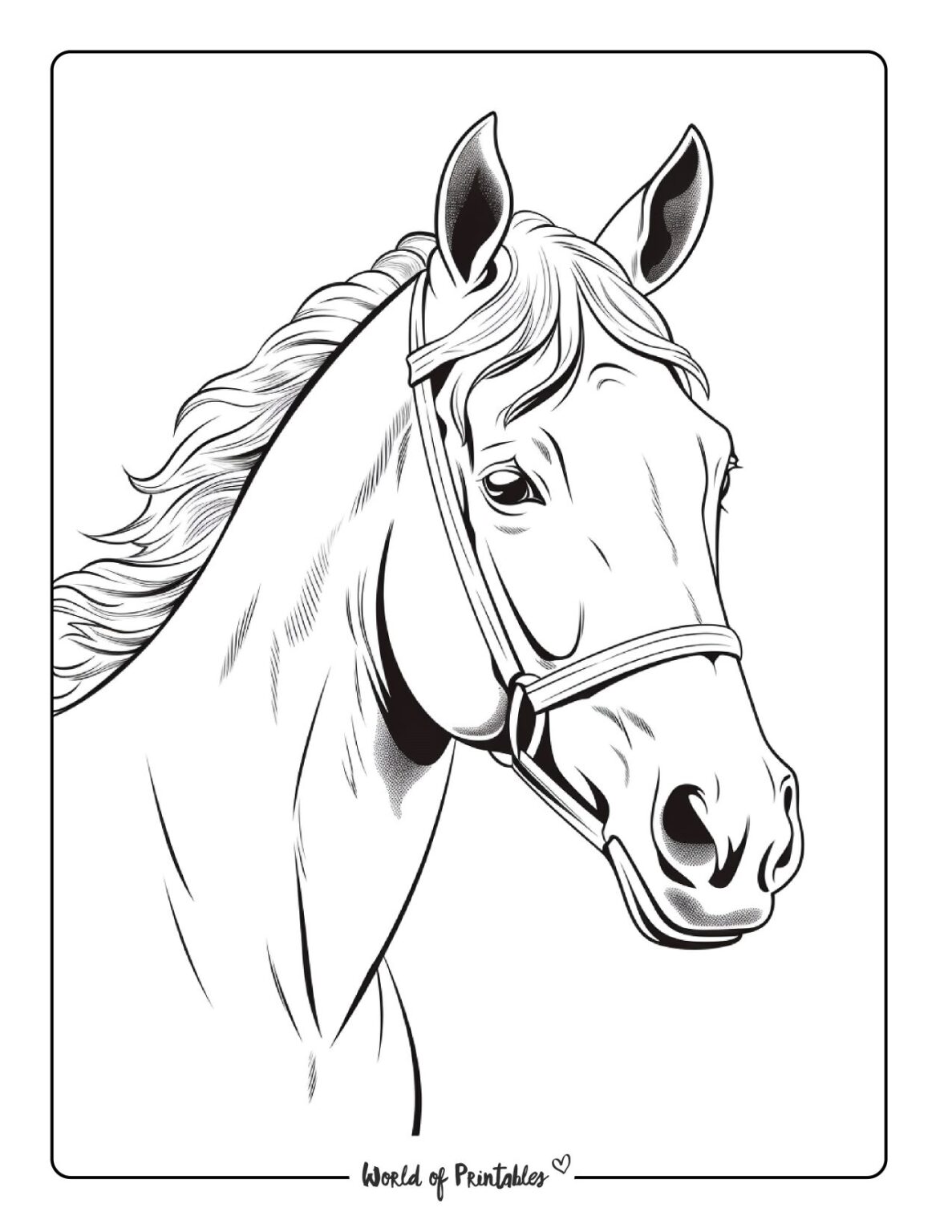 Horse Coloring Pages For Kids Adults World Of Printables
