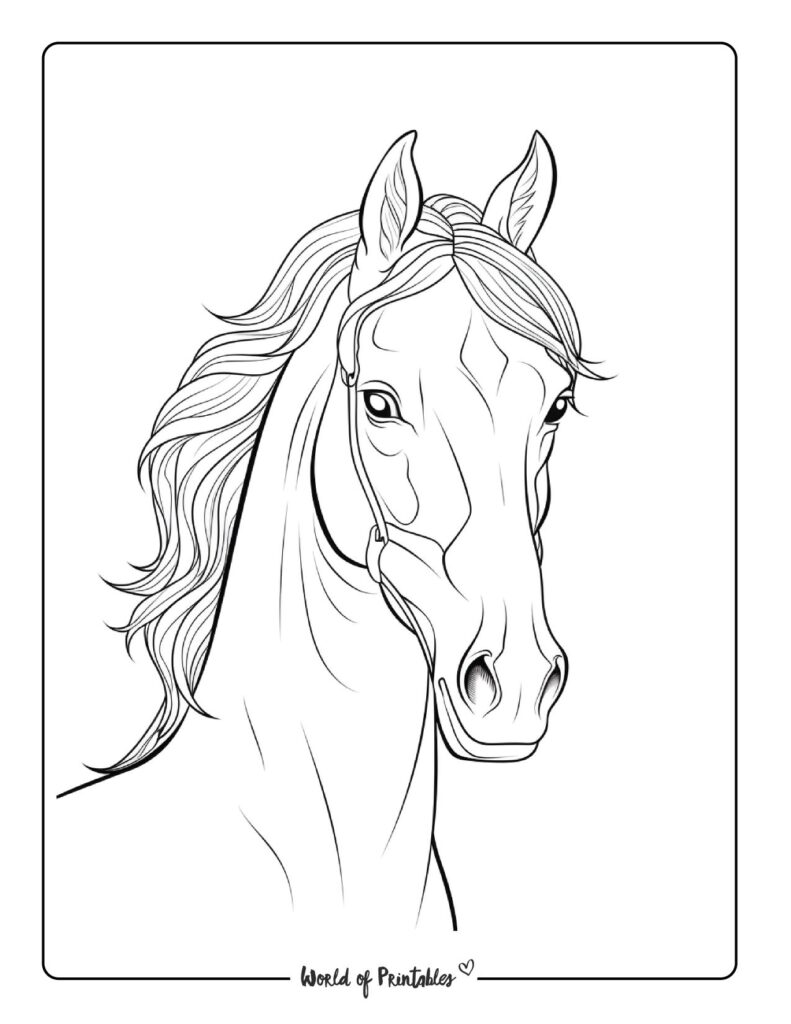 Horse Coloring Pages For Kids & Adults - World of Printables