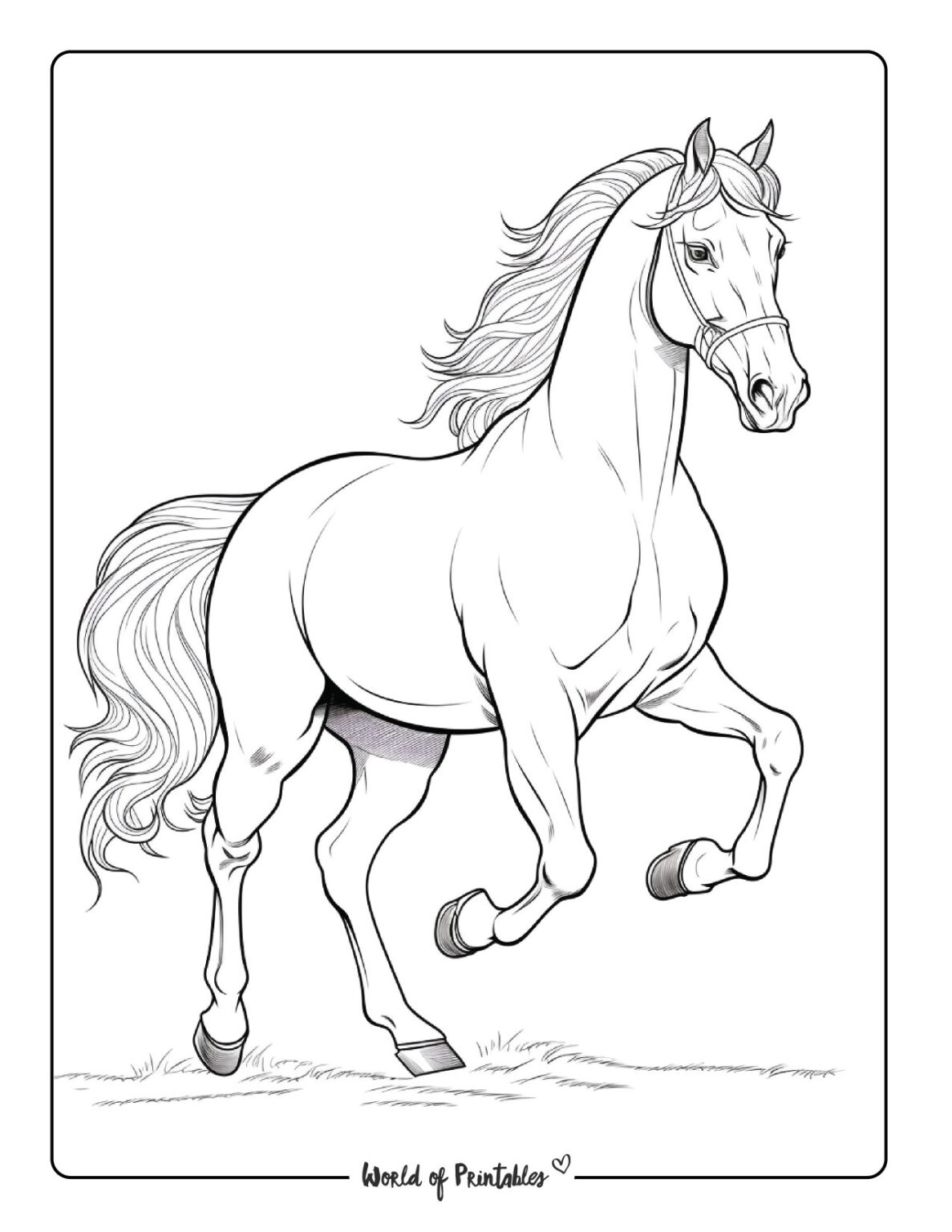 Horse Coloring Pages For Kids & Adults - World of Printables