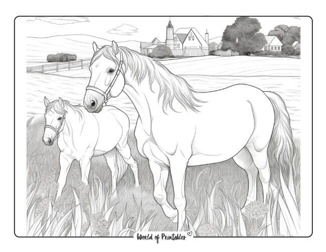 Horse Coloring Sheet 4
